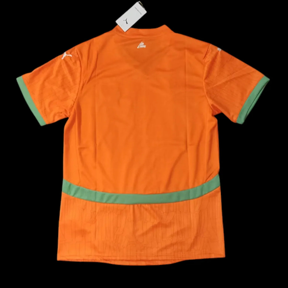 Cote d’Ivoire Maillot Domicile 25/26