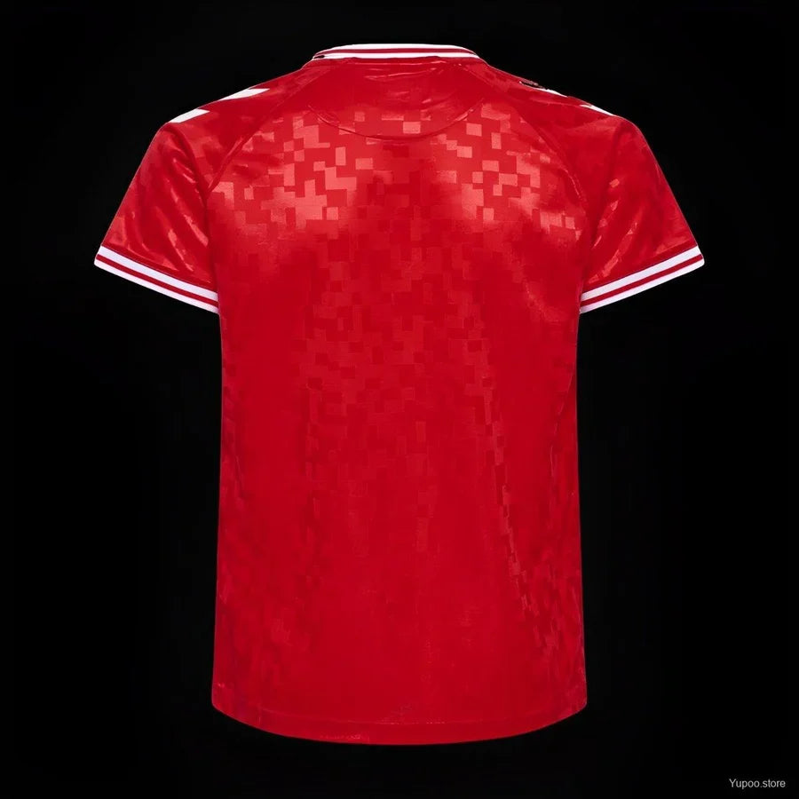 Maillot football Danemark Denmark domicile 2024/25