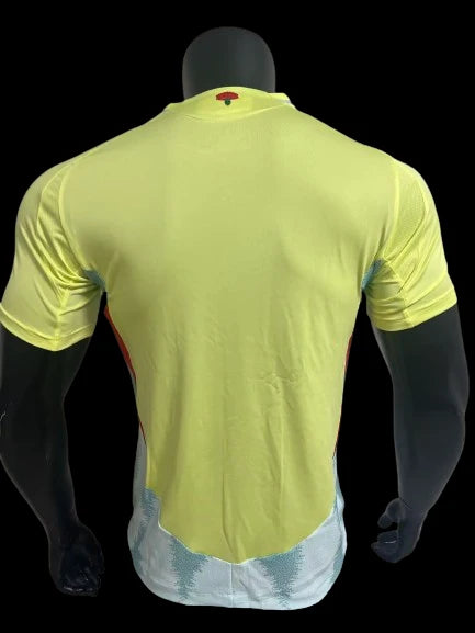 MAILLOT ESPAGNE 2024/25