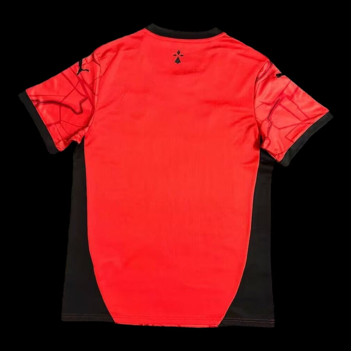 Rennes Maillot Domicile 24/25