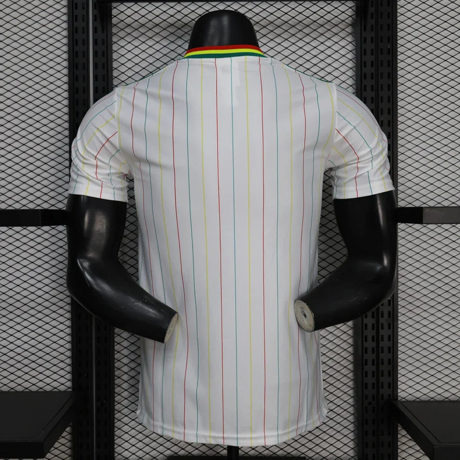 Maillot football Sénégal/Senegal Les Lions * Player Version * Retro 2025/26