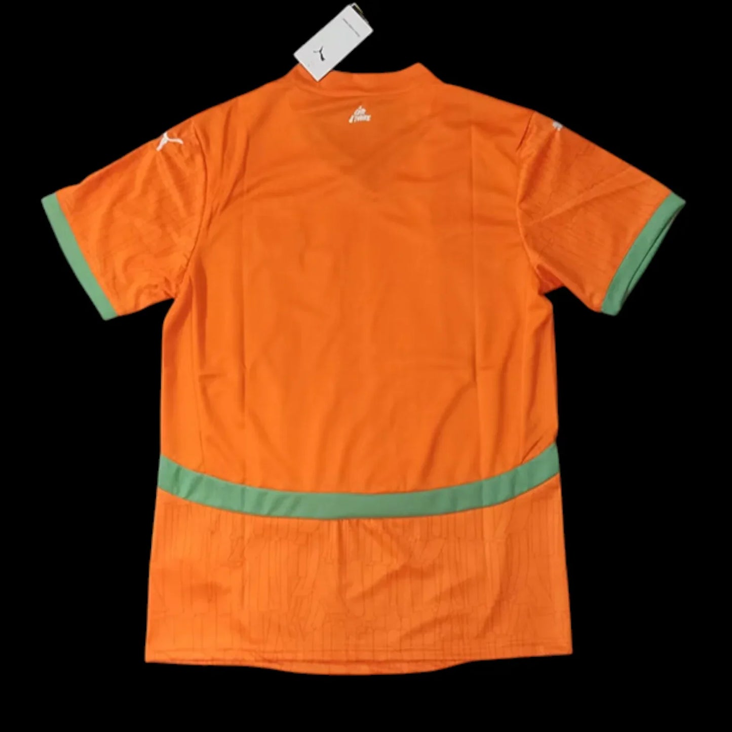 Cote d’Ivoire Maillot Domicile 25/26