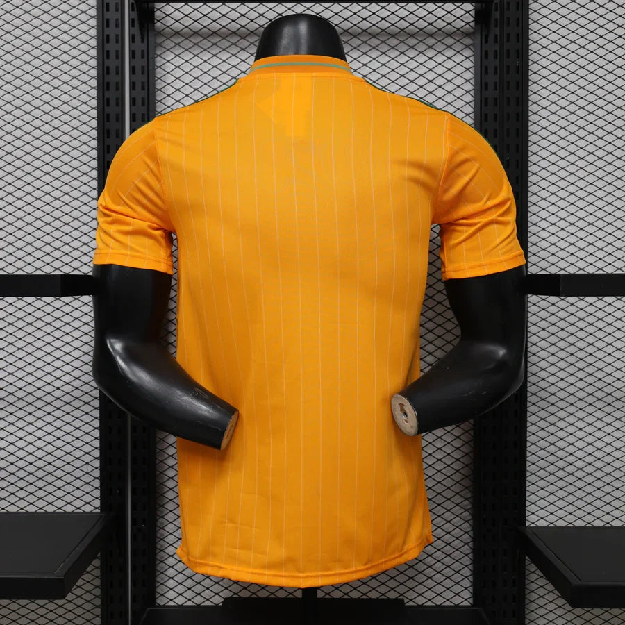 Maillot Côte d’Ivoire Ivory Coast Retro * Player Version * 2025/26
