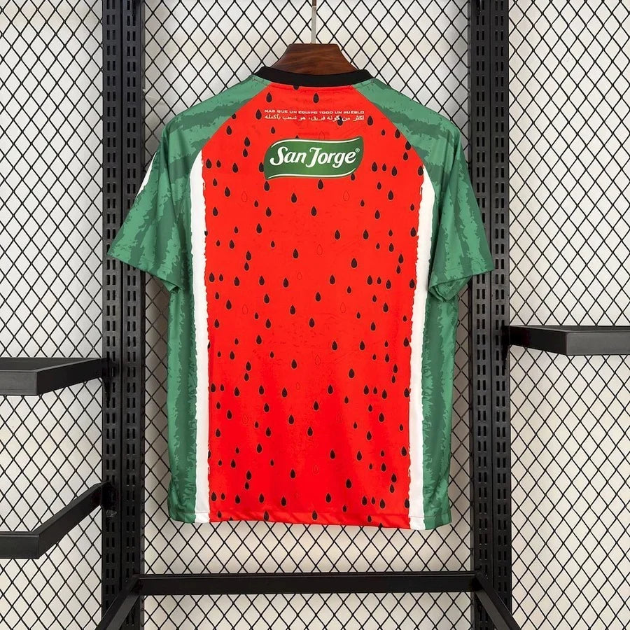 Maillot football Palestine / Palestina FC Palestino Falistīn فلسطين 2025/26